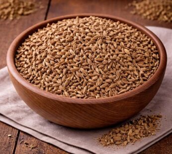 Γλυκάνισος (Σπόροι) / Anise Seeds (Pimpinella anisum)
