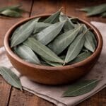 Ευκάλυπτος