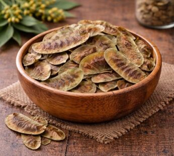 Φύλλα Αλεξανδρείας